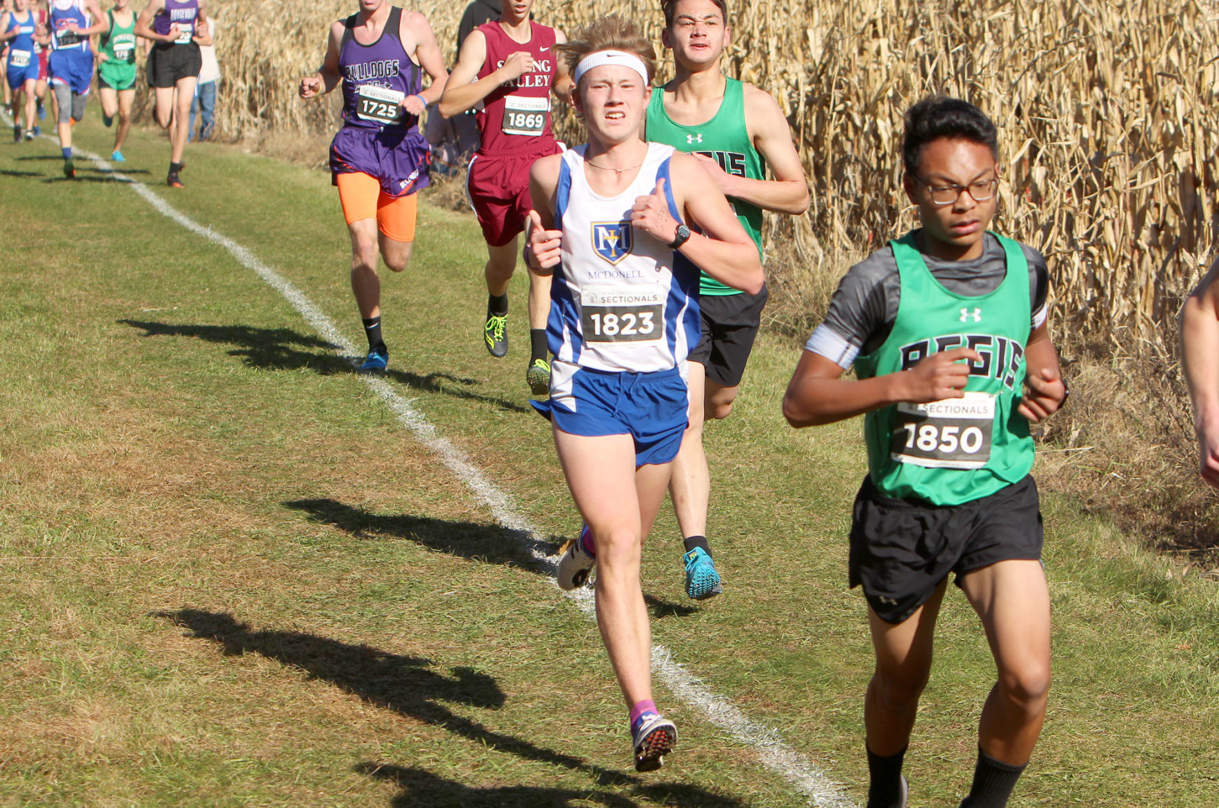 Division 3 Cross Country Sectionals in Boyceville 10-26-19